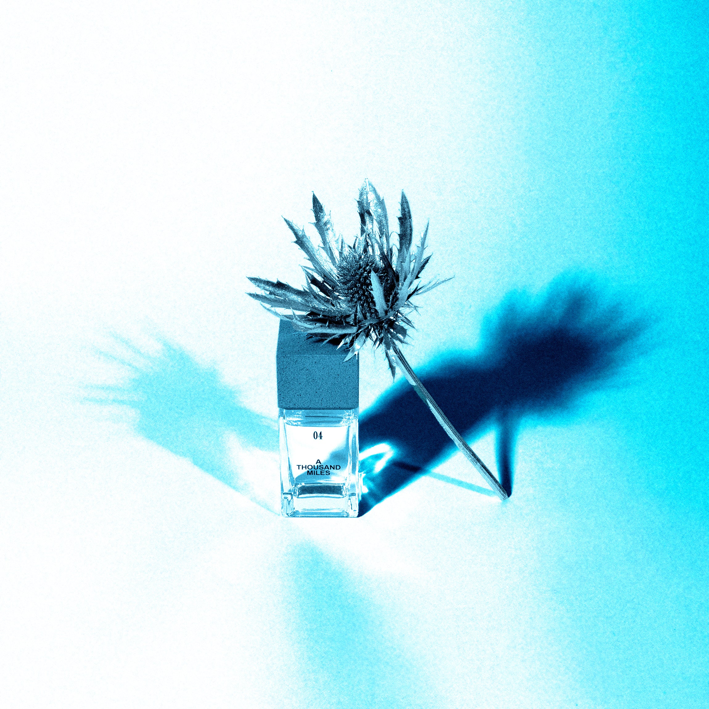 04. A THOUSAND MILES